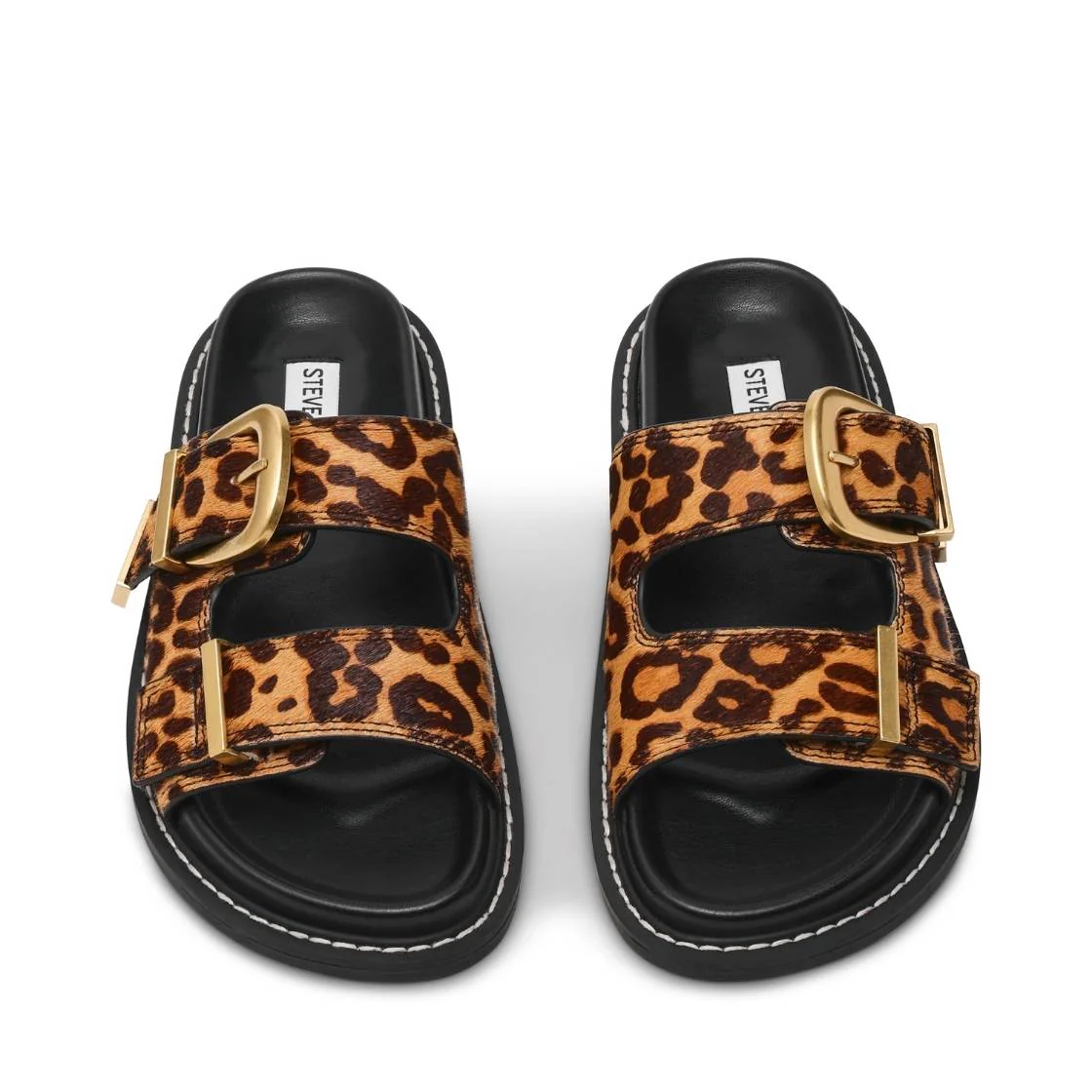 ARCH-L LEOPARD - Image 3