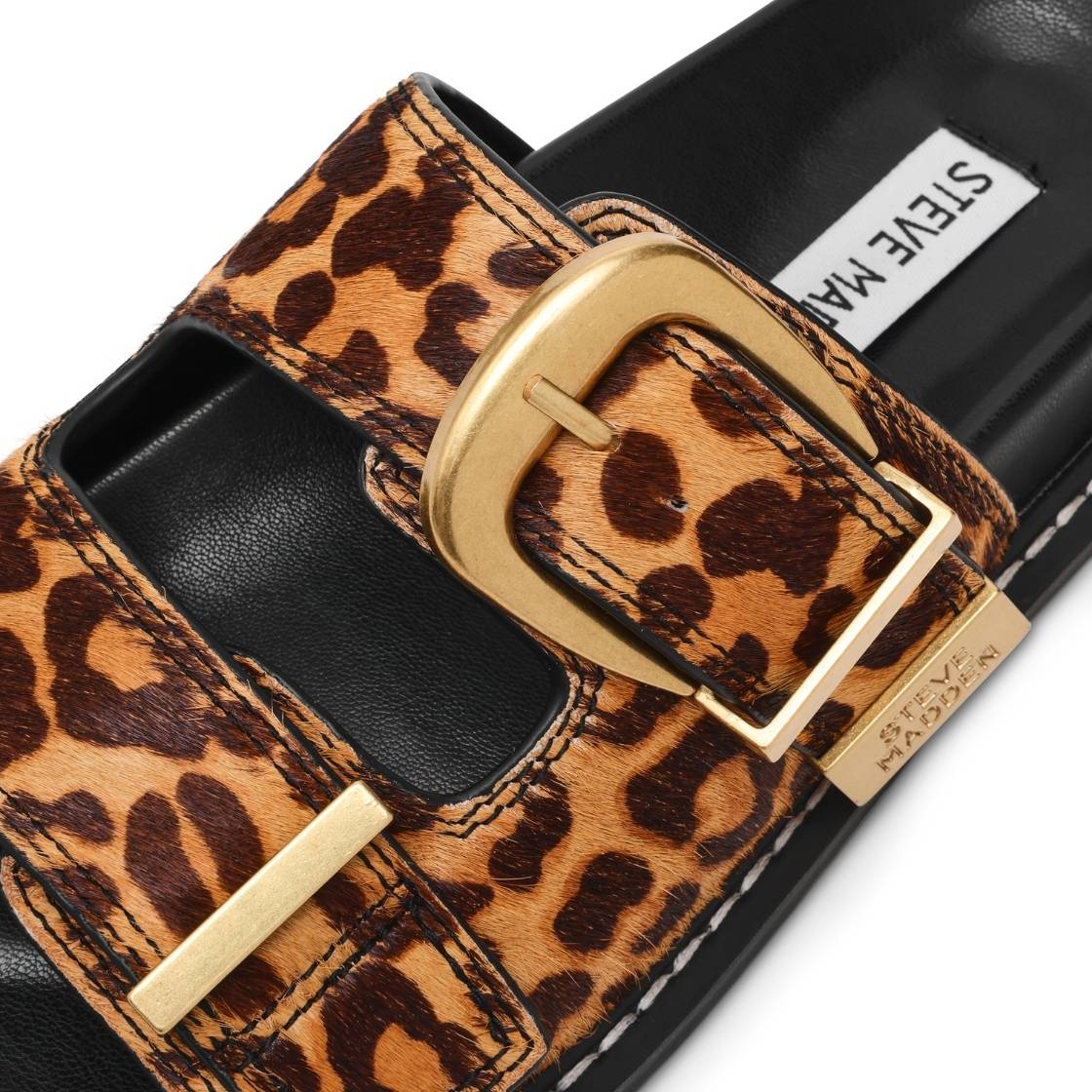 ARCH-L LEOPARD - Image 5