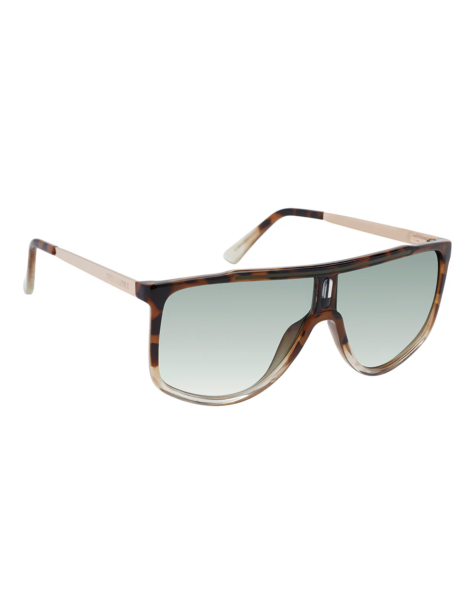 STEFFAN TORTOISE - Image 2