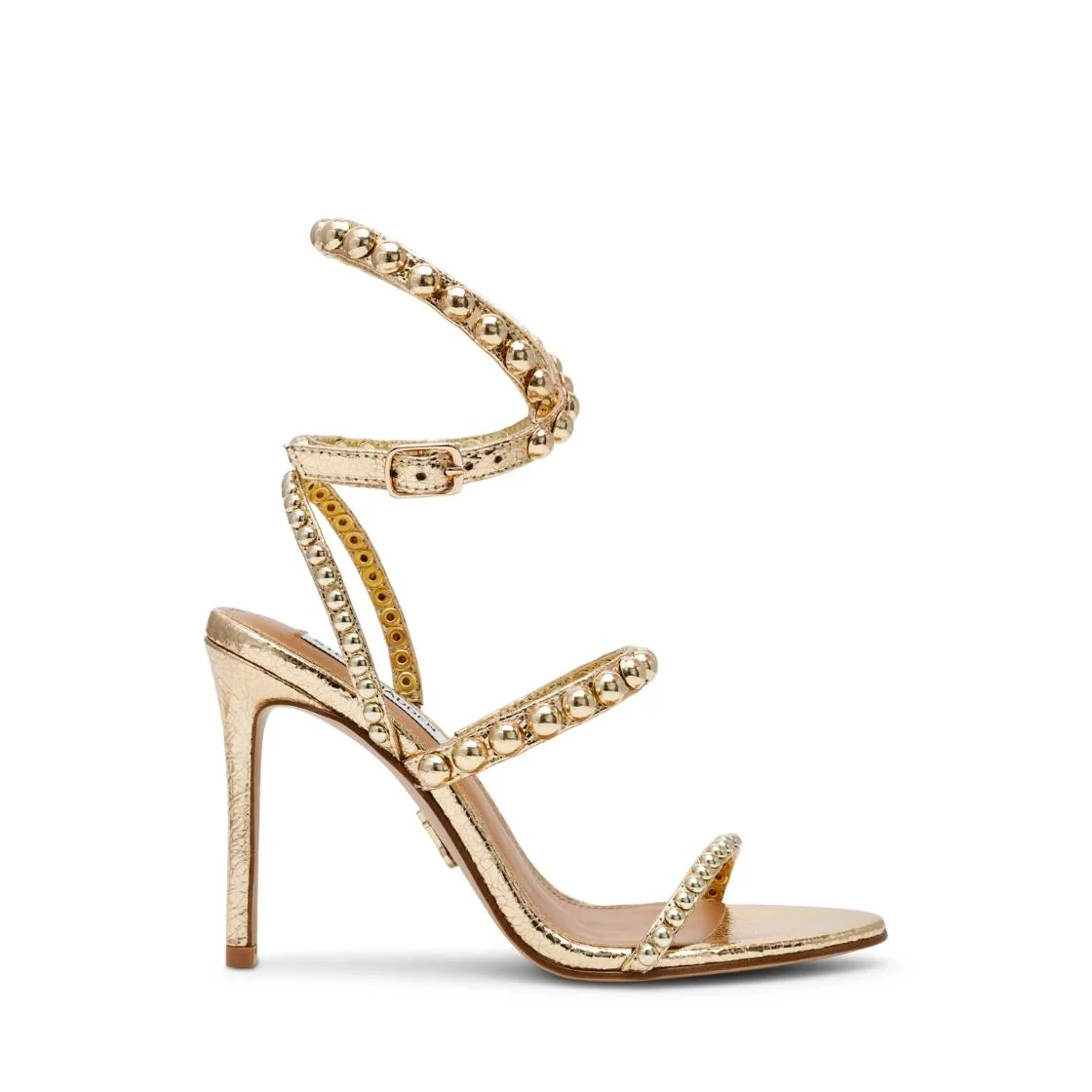 TEENA GOLD MULTI